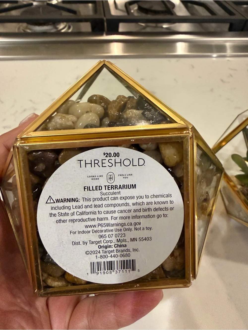 Target Threshold Artificial Indoor Succulent Plant in Brass/Glass Terrarium